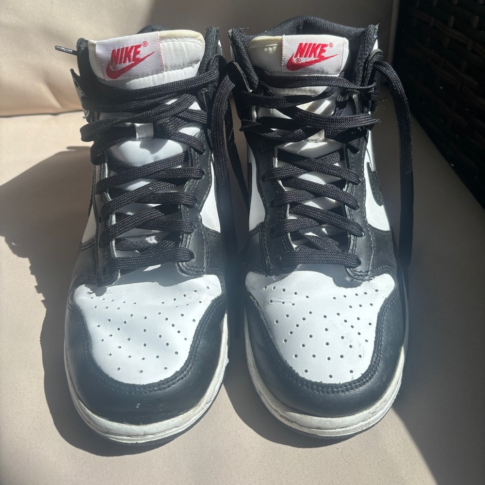 Nike Dunk High